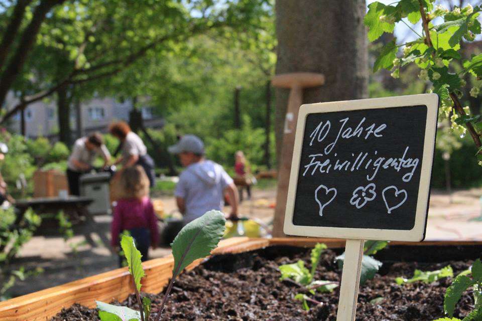 Zum 10. Mal „Freiwillig in Eberswalde“ Zum 10. Mal „Freiwillig in Eberswalde“