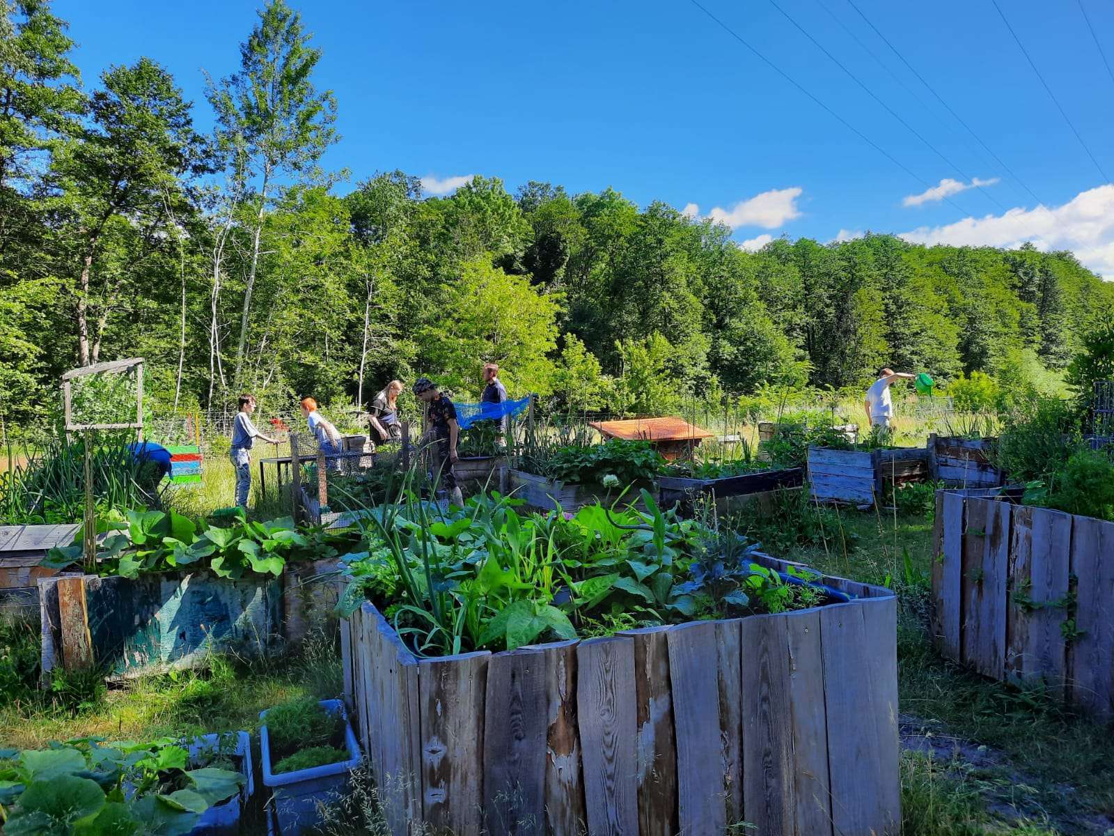 Garten der Zukunft BÜRGERSTIFTUNG BARNIM UCKERMARK
